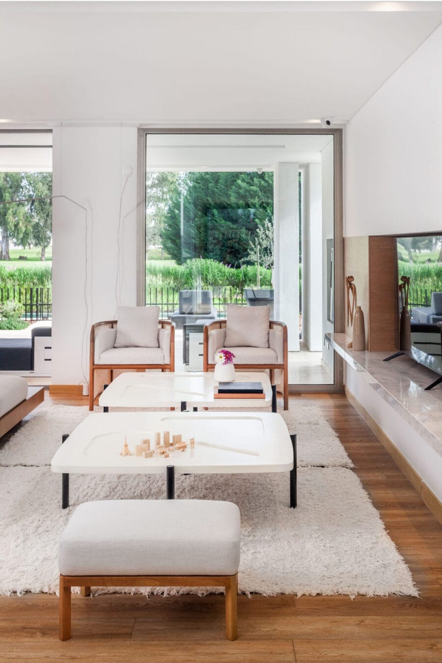 Elementos Argentinos