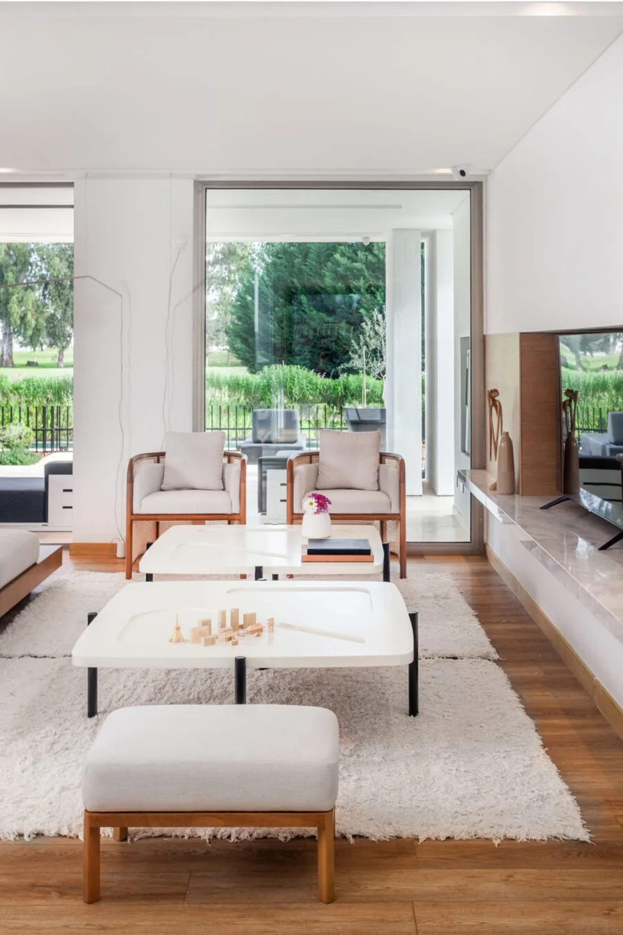 Elementos Argentinos