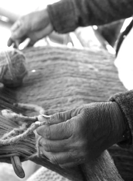 Elementos Argentinos