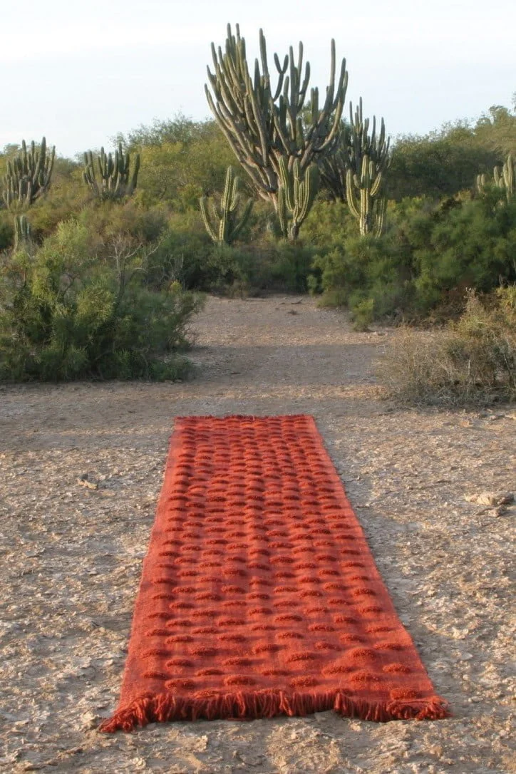 Elementos Argentinos