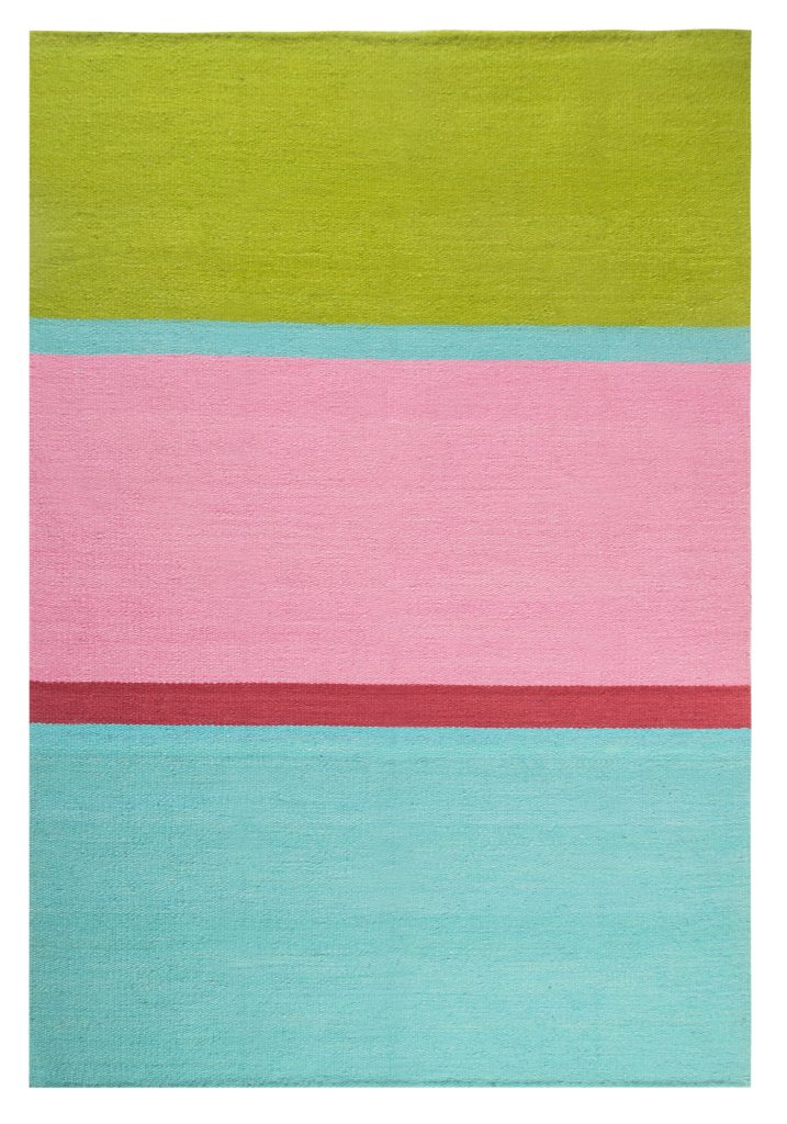 pato-elementos-argentinos