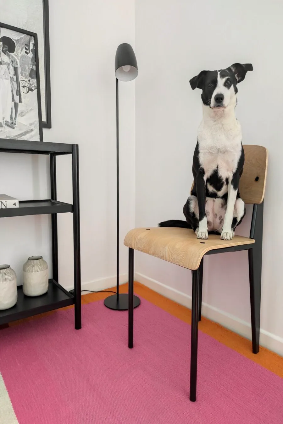 Elementos Argentinos