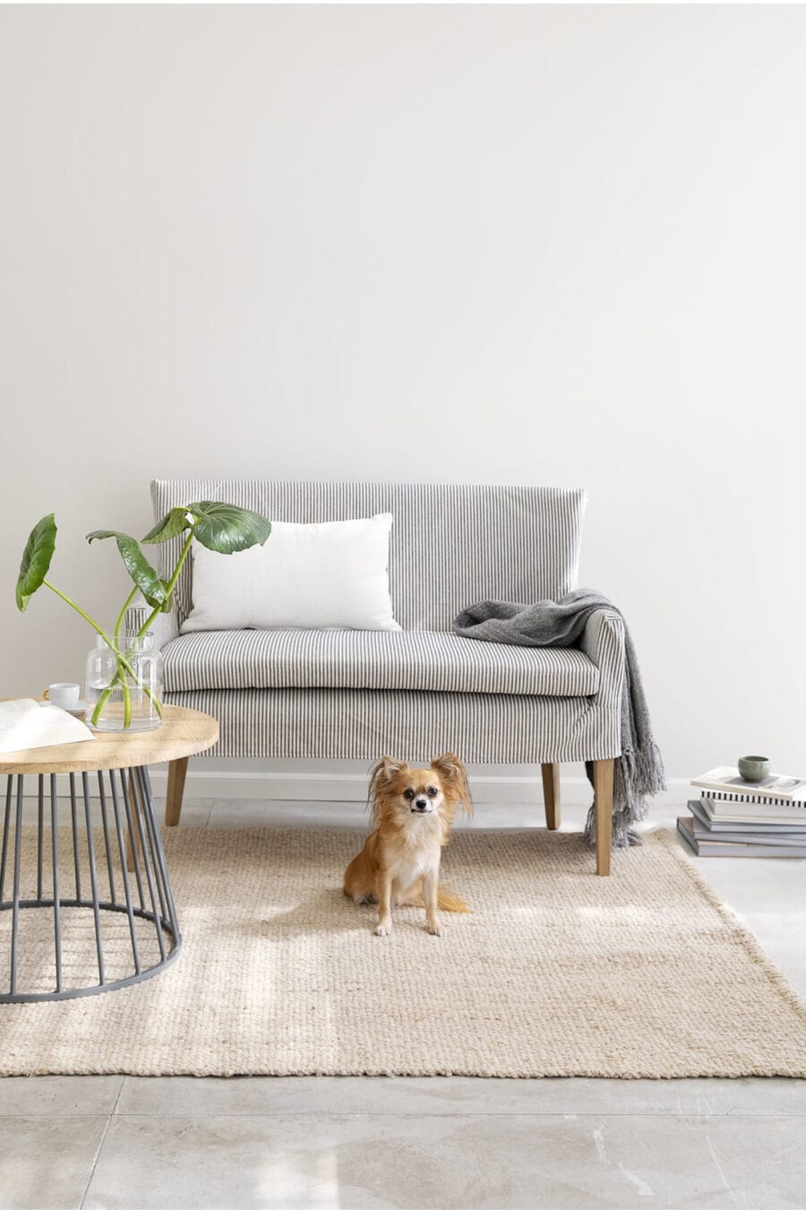 Elementos Argentinos