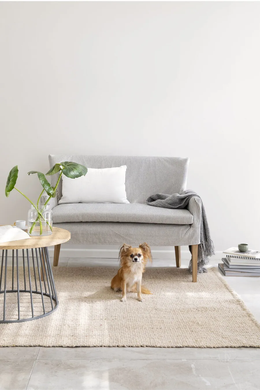 Elementos Argentinos