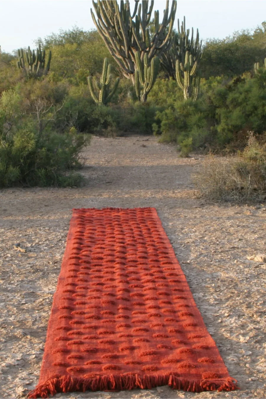 Elementos Argentinos