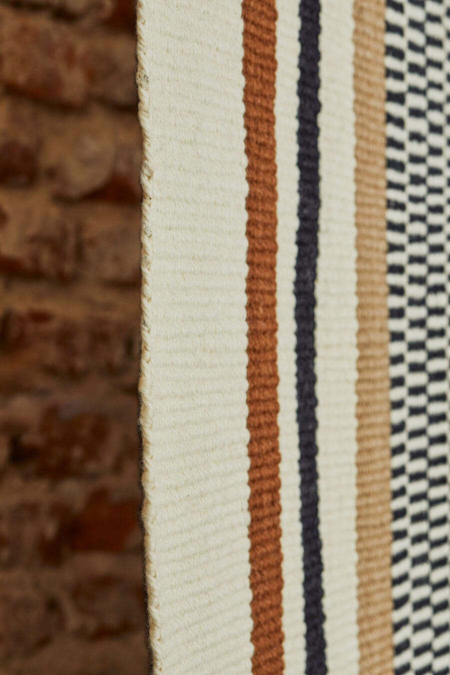 Elementos Argentinos