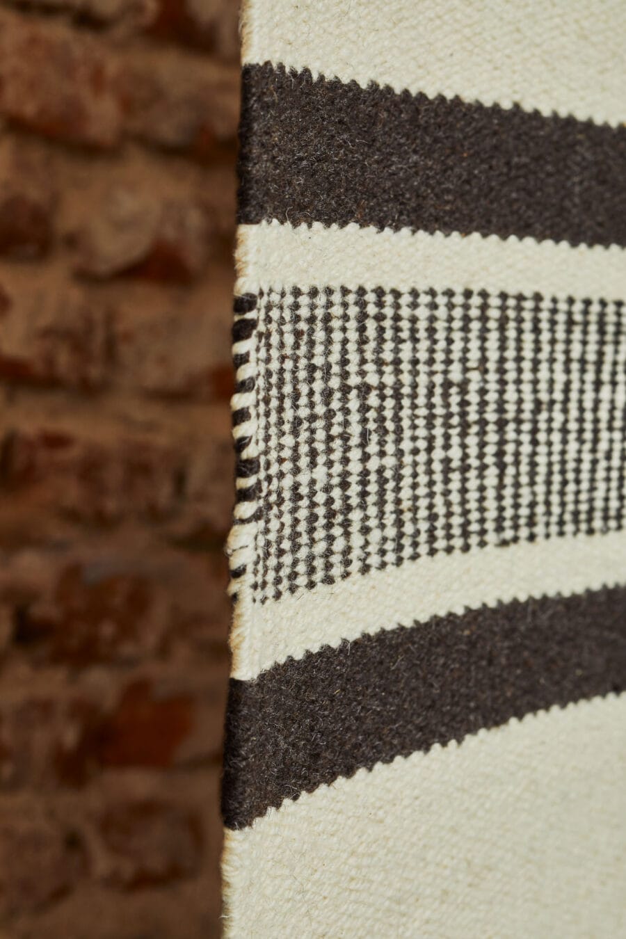 Elementos Argentinos