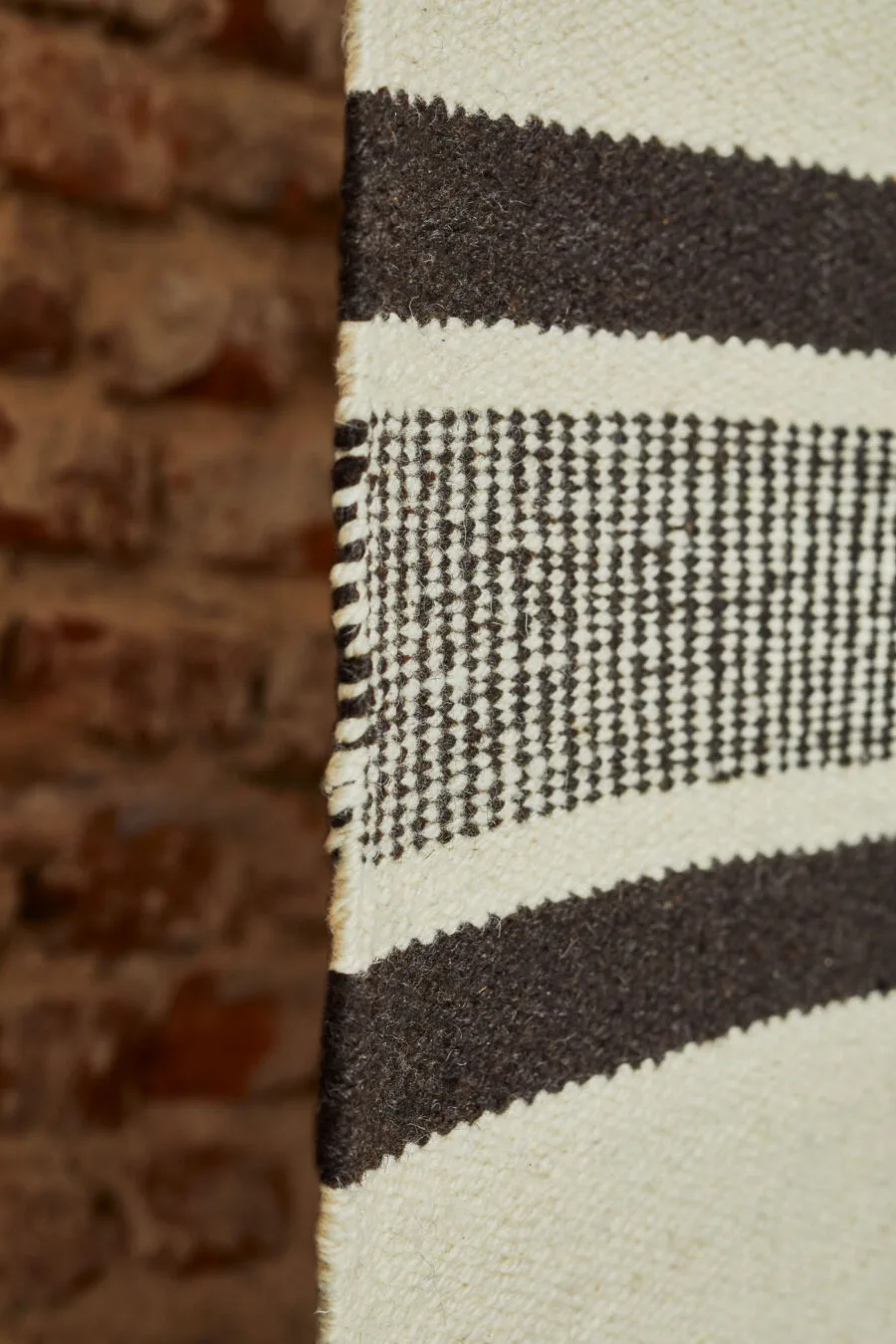 Elementos Argentinos