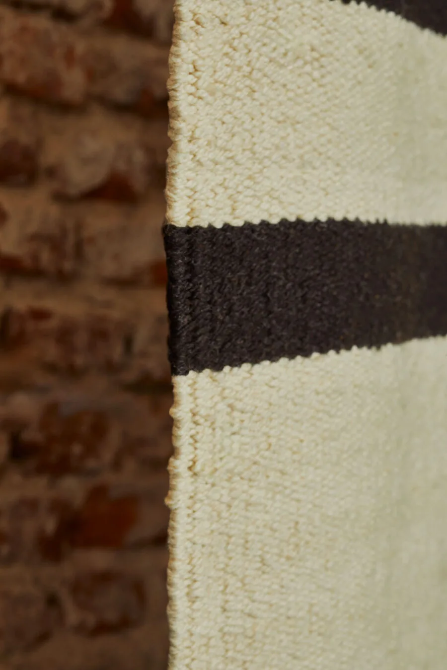 Elementos Argentinos